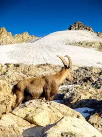 2019-08-25 · 07:36 · Petit Mont-Blanc