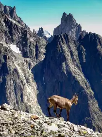 2019-08-25 · 11:33 · Petit Mont-Blanc