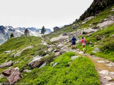 Stage Trail Découverte J2 · Alpes, Massif du Mont-Blanc, Vallée de Chamonix, FR · GPS 45°55'10.04'' N 6°54'18.49'' E · Altitude 2067m