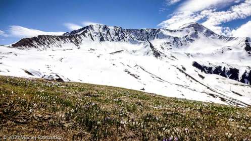 Aiguillette des Posettes · Alpes, Massif du Mont-Blanc, Vallée de Chamonix, FR · GPS 46°1'17.73'' N 6°57'8.91'' E · Altitude 1985m