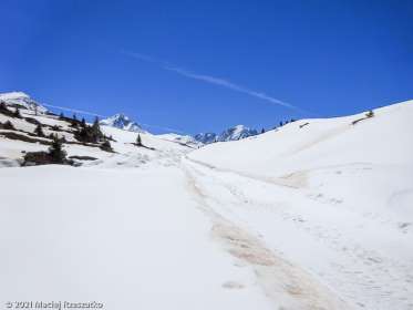 Session privée du trail-running · Alpes, Massif du Mont-Blanc, Vallée de Chamonix, FR · GPS 46°1'41.83'' N 6°56'59.18'' E · Altitude 1951m