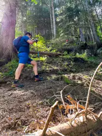 2021-06-04 · 10:33 · Stage Trail Découverte