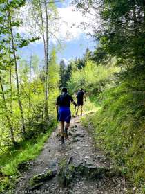 Stage Trail Découverte · Alpes, Massif du Mont-Blanc, Vallée de Chamonix, FR · GPS 45°54'47.89'' N 6°52'24.68'' E · Altitude 1255m