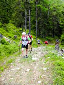 Stage Trail Découverte · Alpes, Massif du Mont-Blanc, Vallée de Chamonix, FR · GPS 46°2'19.75'' N 6°56'46.32'' E · Altitude 1669m