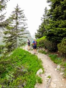 Stage Trail Initiation · Alpes, Massif du Mont-Blanc, Vallée de Chamonix, FR · GPS 46°0'19.97'' N 6°55'50.68'' E · Altitude 1825m