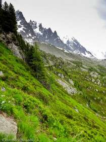 Stage Trail Initiation · Alpes, Massif du Mont-Blanc, Vallée de Chamonix, FR · GPS 45°55'23.71'' N 6°54'19.77'' E · Altitude 2046m