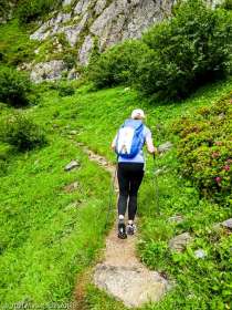 Session privée du trail-running · Alpes, Aiguilles Rouges, Vallée de Chamonix, FR · GPS 45°56'6.16'' N 6°50'56.08'' E · Altitude 1843m