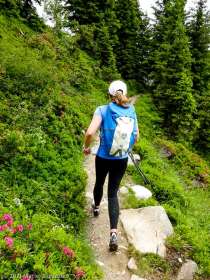 Session privée du trail-running · Alpes, Aiguilles Rouges, Vallée de Chamonix, FR · GPS 45°56'54.82'' N 6°52'1.99'' E · Altitude 1816m