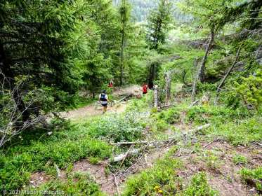 Stage Trail Initiation · Alpes, Massif du Mont-Blanc, Vallée de Chamonix, FR · GPS 46°2'21.10'' N 6°55'43.46'' E · Altitude 1454m