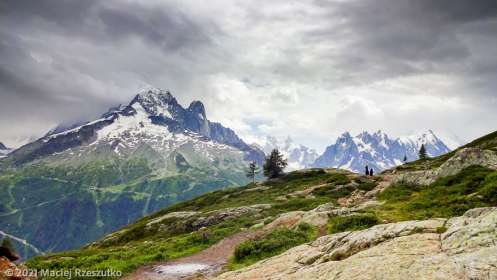 Stage Trail Découverte · Alpes, Aiguilles Rouges, Vallée de Chamonix, FR · GPS 45°59'37.98'' N 6°54'42.15'' E · Altitude 2043m