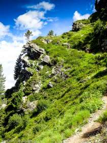 Stage Trail Initiation · Alpes, Massif du Mont-Blanc, Vallée de Chamonix, FR · GPS 45°52'58.70'' N 6°51'8.37'' E · Altitude 2087m