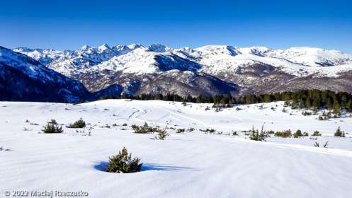 Plateau de Beille · Pyrénées, Pyrénées ariégeoises, Vallée d'Ax, FR · GPS 42°42'49.95'' N 1°41'13.90'' E · Altitude 1735m