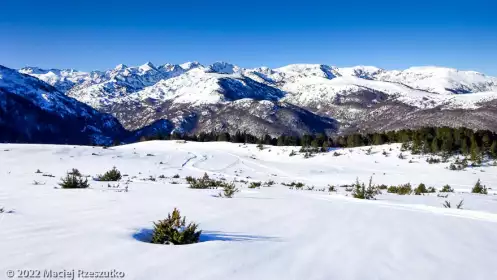 2022-01-16 · 11:07 · Plateau de Beille