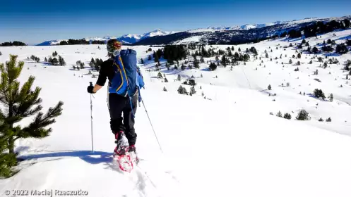 2022-01-16 · 12:18 · Plateau de Beille