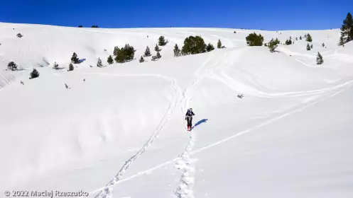 2022-01-16 · 12:24 · Plateau de Beille