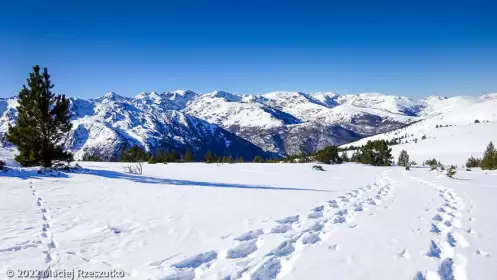 2022-01-16 · 12:54 · Plateau de Beille