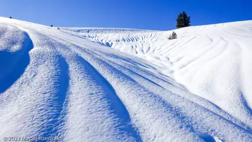 2022-01-16 · 13:30 · Plateau de Beille