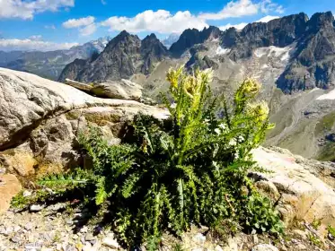 2022-08-12 · 14:44 · Mont Buet bivouac