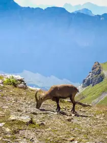 2022-08-12 · 15:15 · Mont Buet bivouac