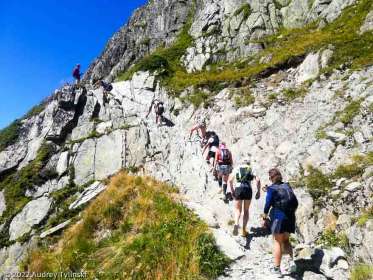 Stage Trail Découverte · Alpes, Massif du Mont-Blanc, Vallée de Chamonix, FR · GPS 46°0'14.02'' N 6°58'32.40'' E · Altitude 2428m