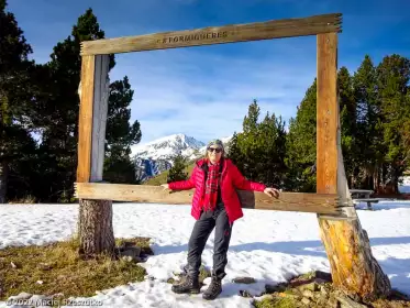 2022-12-26 · 11:49 · Camporells et Bouilllouses