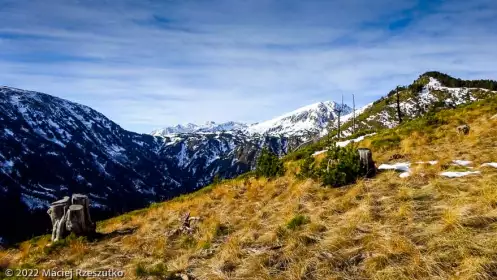 2022-12-26 · 11:58 · Camporells et Bouilllouses