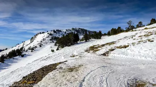 2022-12-26 · 12:27 · Camporells et Bouilllouses