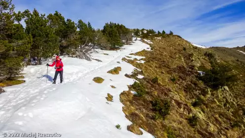 2022-12-26 · 13:09 · Camporells et Bouilllouses