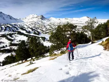 2022-12-26 · 13:14 · Camporells et Bouilllouses