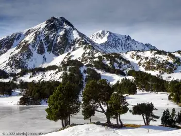 2022-12-26 · 13:31 · Camporells et Bouilllouses