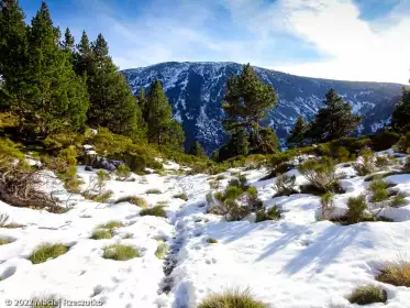 2022-12-26 · 15:54 · Camporells et Bouilllouses