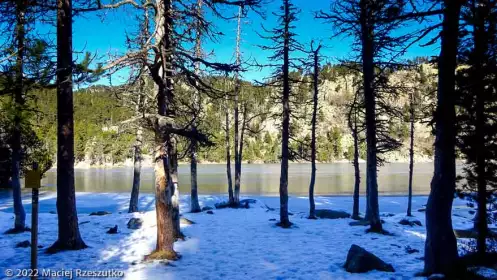 2022-12-27 · 13:36 · Camporells et Bouilllouses