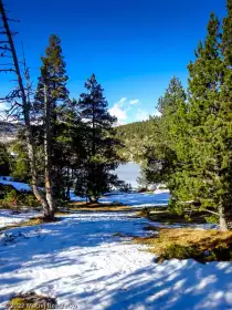 2022-12-27 · 14:07 · Camporells et Bouilllouses