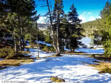 2022-12-27 · 14:07 · Camporells et Bouilllouses