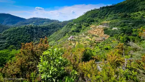 2023-05-31 · 15:55 · Cinque Terre