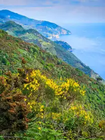 2023-05-31 · 17:03 · Cinque Terre