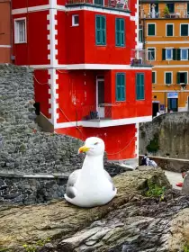 2023-06-01 · 08:41 · Cinque Terre