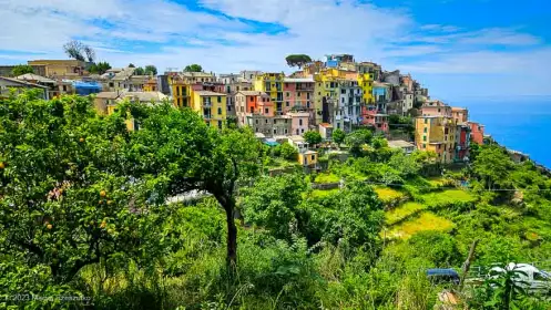 2023-06-01 · 11:24 · Cinque Terre