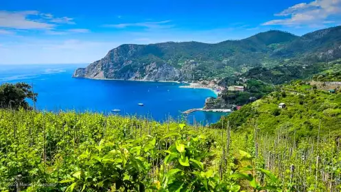 2023-06-01 · 13:33 · Cinque Terre