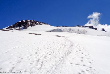 Glacier du Grand Paradis · Alpes, Massif du Grand Paradis, Valsavarenche, IT · GPS 45°30'50.10'' N 7°15'32.72'' E · Altitude 3606m