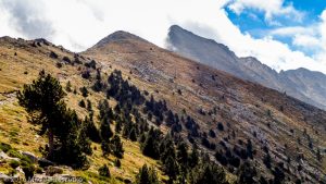Pic Joffre · Pyrénées, Pyrénées-Orientales, Massif du Canigou, FR · GPS 42°31'56.24'' N 2°27'8.48'' E · Altitude 2317m