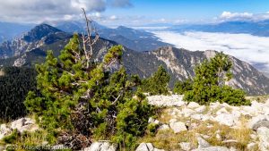 Serra de Cadí · Pyrénées, Catalogne, Cadí, ES · GPS 42°19'0.11'' N 1°52'56.19'' E · Altitude 2273m
