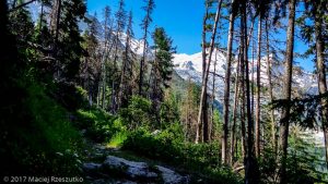 Grands Bois · Alpes, Massif du Mont-Blanc, Vallée de Chamonix, FR · GPS 45°54'16.48'' N 6°52'22.10'' E · Altitude 1693m