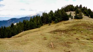 Serra de la Moixa · Pyrénées, Catalogne, Cadí, ES · GPS 42°17'27.47'' N 1°46'28.73'' E · Altitude 2001m