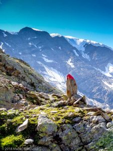 - · Alpes, Massif du Mont-Blanc, Traversée vers la Refuge de Pla, FR · GPS 45°50'4.95'' N 6°47'19.18'' E · Altitude 2501m