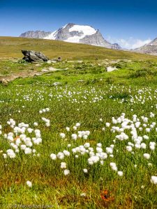 Retour au Col du Nivolet · Alpes, Val d'Aoste, Parc National du Grand Paradis, IT · GPS 45°29'42.42'' N 7°8'8.00'' E · Altitude 2675m