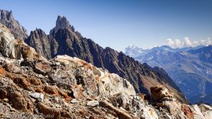 Dans la descente du Petit Mont Blanc · Alpes, Massif du Mont-Blanc, Val Vény, IT · GPS 45°47'11.93'' N 6°50'21.84'' E · Altitude 3077m