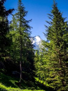 Stage Trail Découverte J2 · Alpes, Massif du Mont-Blanc, Vallée d'Anniviers, FR · GPS 45°55'0.09'' N 6°53'33.01'' E · Altitude 1861m