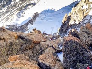 Escalade de l'Aiguille du Jardin · Alpes, Massif du Mont-Blanc, FR · GPS 45°56'1.26'' N 6°58'38.46'' E · Altitude 3960m