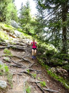 Session privée du trail-running · Alpes, Massif du Mont-Blanc, Vallée de Chamonix, FR · GPS 45°59'3.92'' N 6°55'1.70'' E · Altitude 1682m